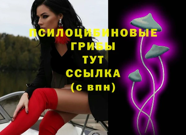 ПСИЛОЦИБИНОВЫЕ ГРИБЫ Ахтубинск