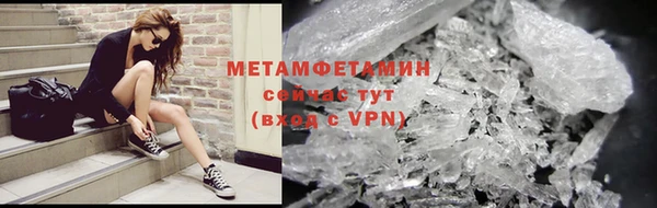 индика Новодвинск