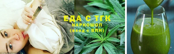 индика Новодвинск