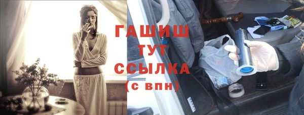 индика Новодвинск