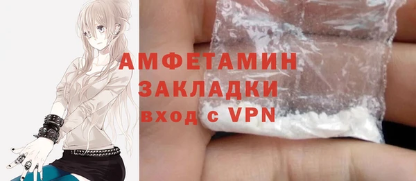 индика Новодвинск