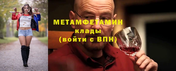 индика Новодвинск