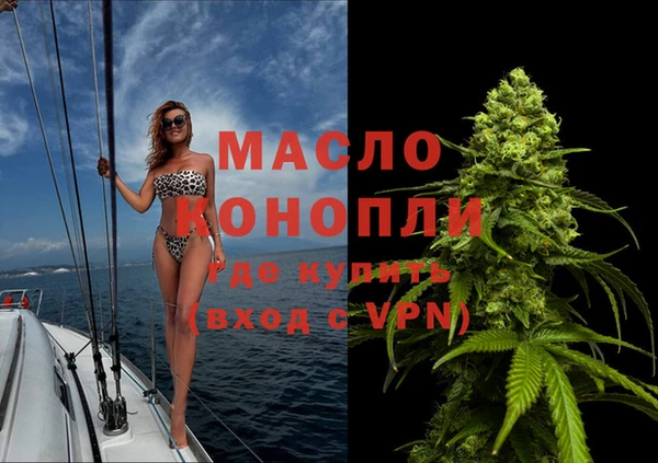 индика Новодвинск