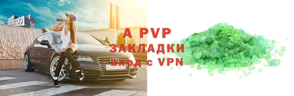индика Новодвинск