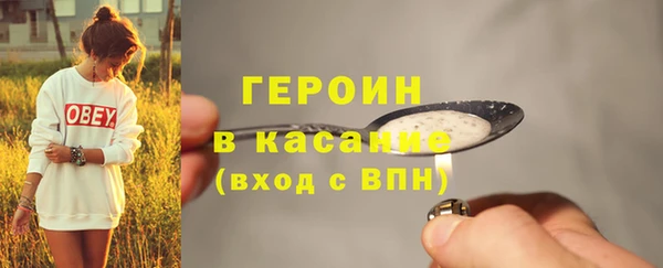 индика Новодвинск