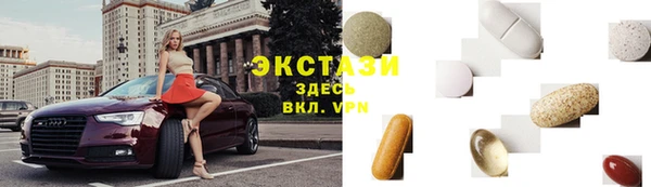 индика Новодвинск