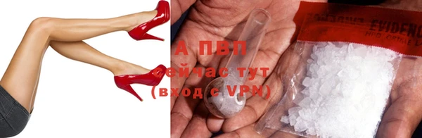 твердый Новокубанск