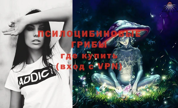 твердый Новокубанск