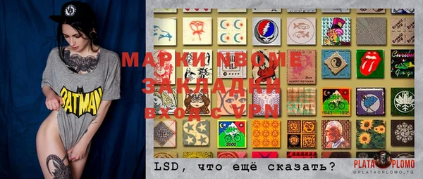 индика Новодвинск