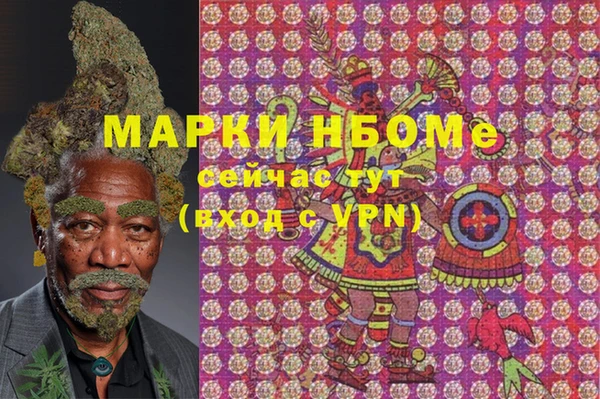 индика Новодвинск