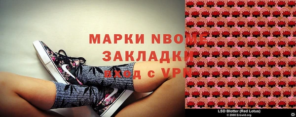 твердый Новокубанск