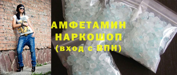 индика Новодвинск