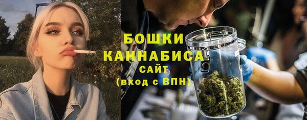 индика Новодвинск