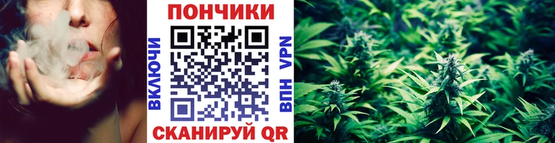 Каннабис MAZAR  магазин продажи наркотиков  Полярный 